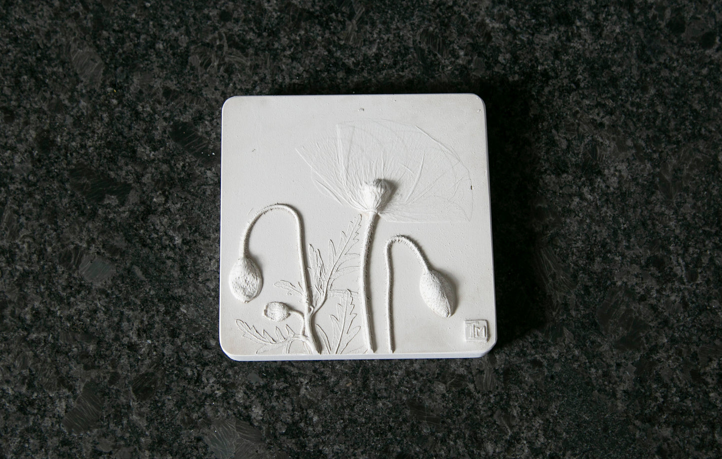 Botanical Impression: Poppy