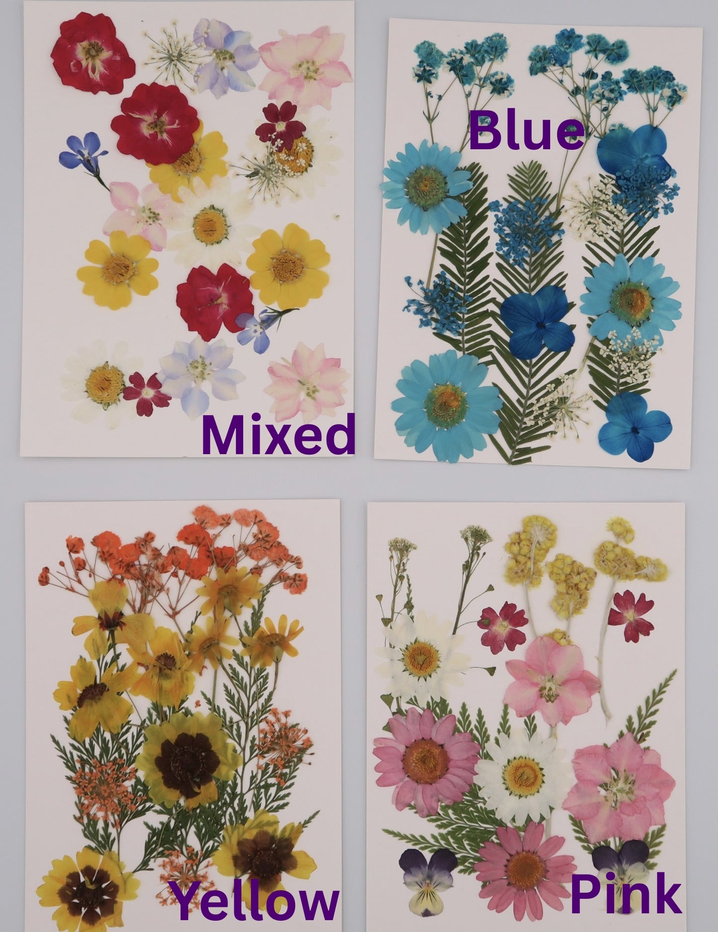 TinkerKit: Pressed Flower Candlelight Kit