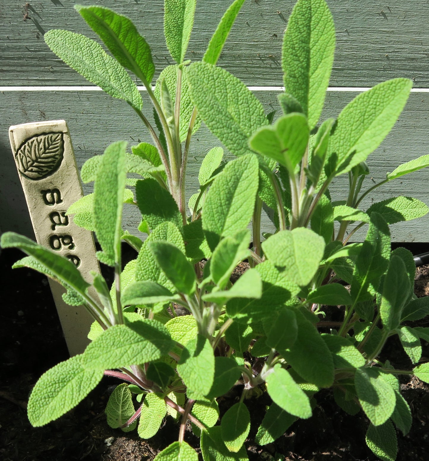Herb Marker